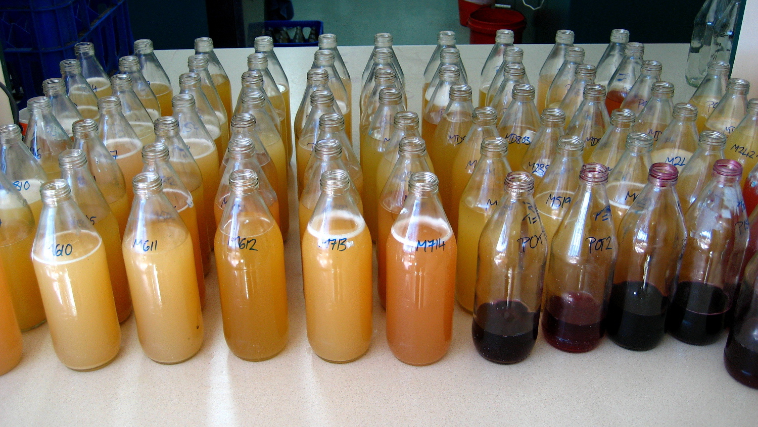 Wine Laboratory CostBenefit Analysis the drifting winemaker